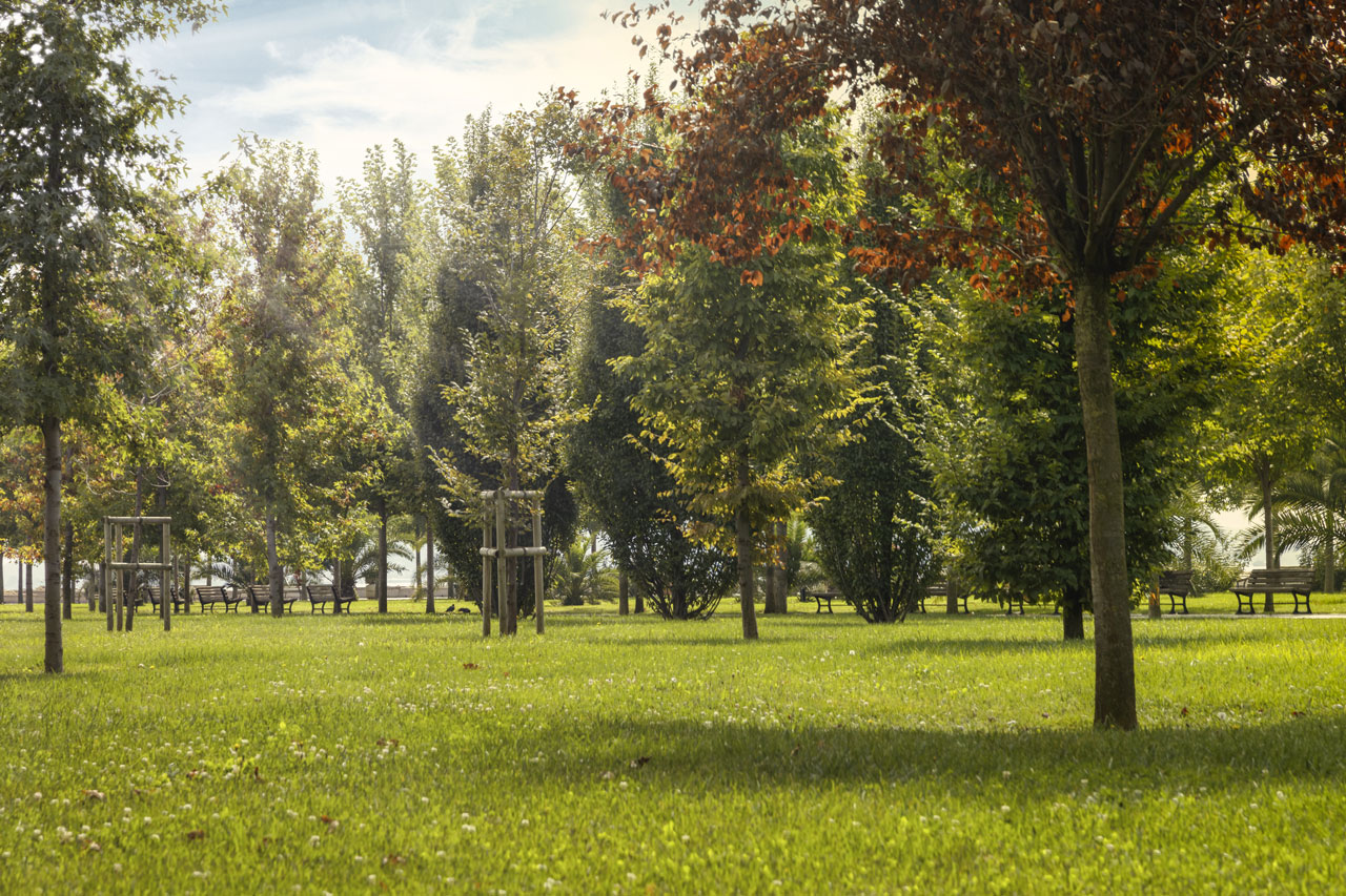 İstanbul Genelinde Yeni Yeşil Alanların Yapımı